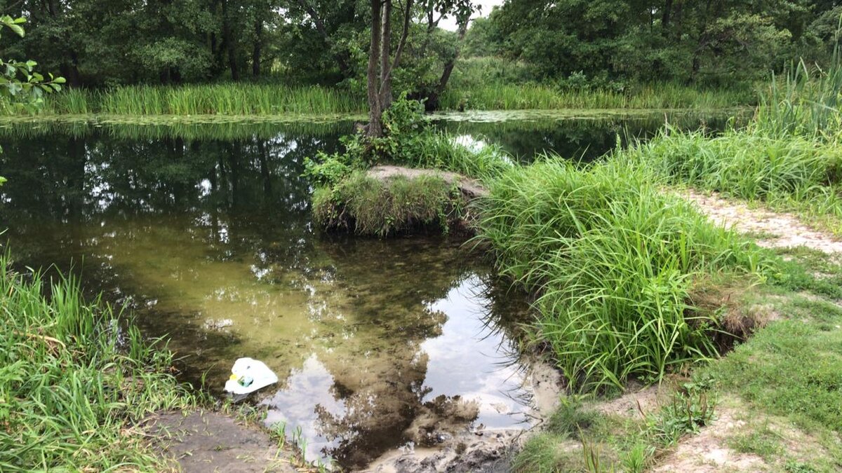 Речка в Воронежской области