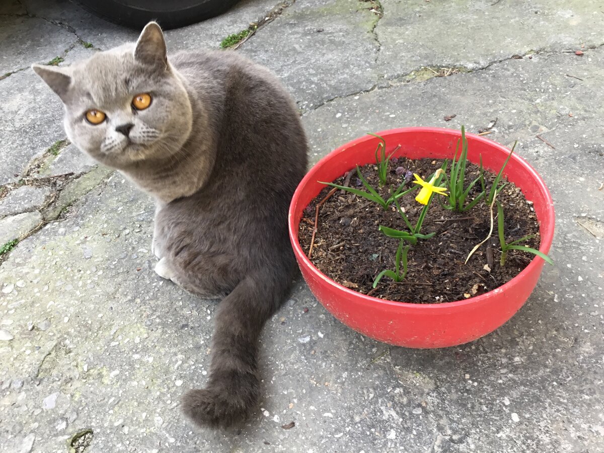 Когда я говорю с ним, у меня возникает ощущение, что он все понимает. У него такой внимательный взгляд...