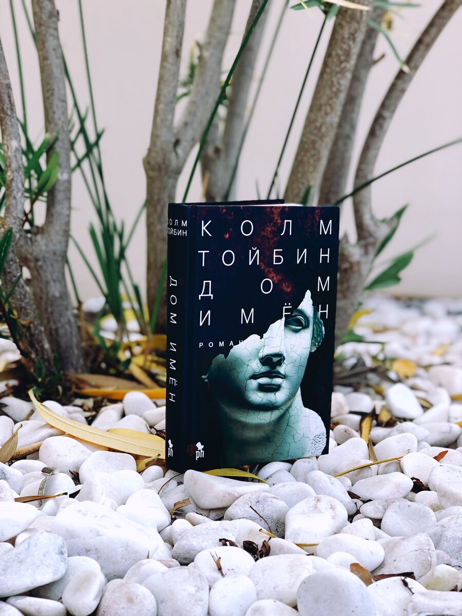 колм тойбин волшебник. колм тойбин волшебник. тойбин колм "дом имен". дом имен отзывы. колм тойбин волшебник.