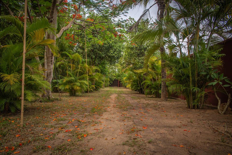 Сад и территория отеля.