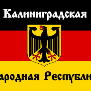 Символ проекта «Калининградской народной республики»