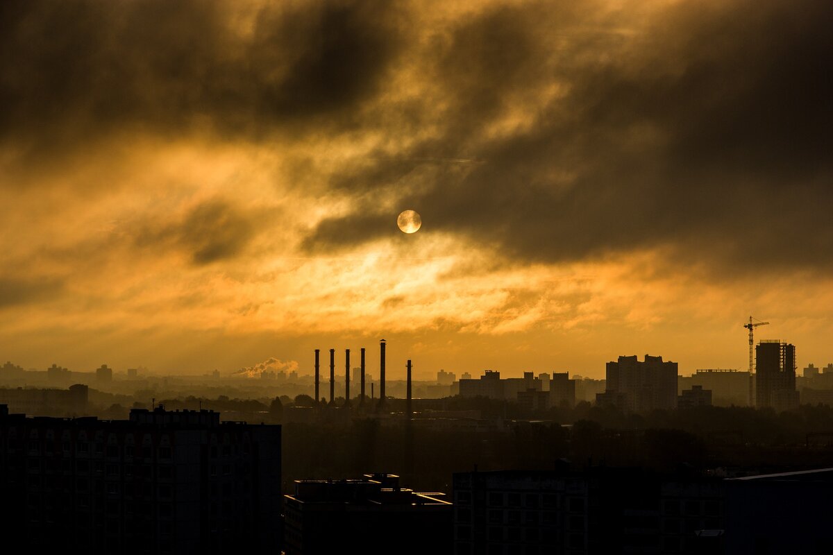 Источник: pixabay.com