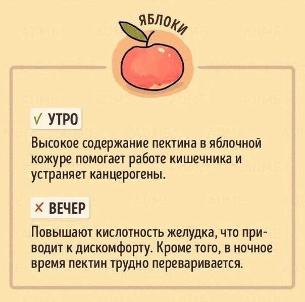 В какое время лучше есть те или иные продукты