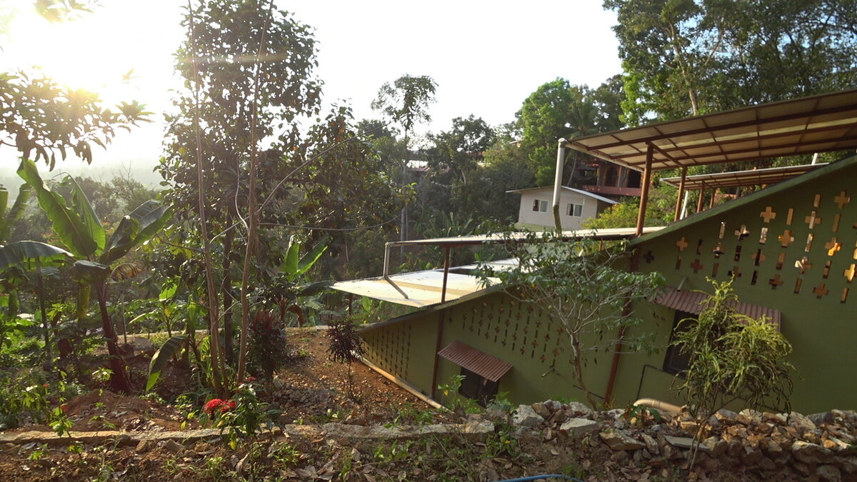 Полдень в Ашраме