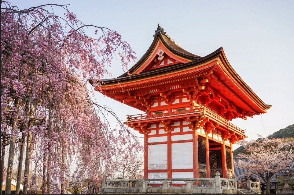 Phuong Nguyen "Ancient temple with cherry flowers". Фото с сайта flickr