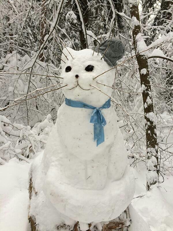 Котик в шапочке. Как же это мило