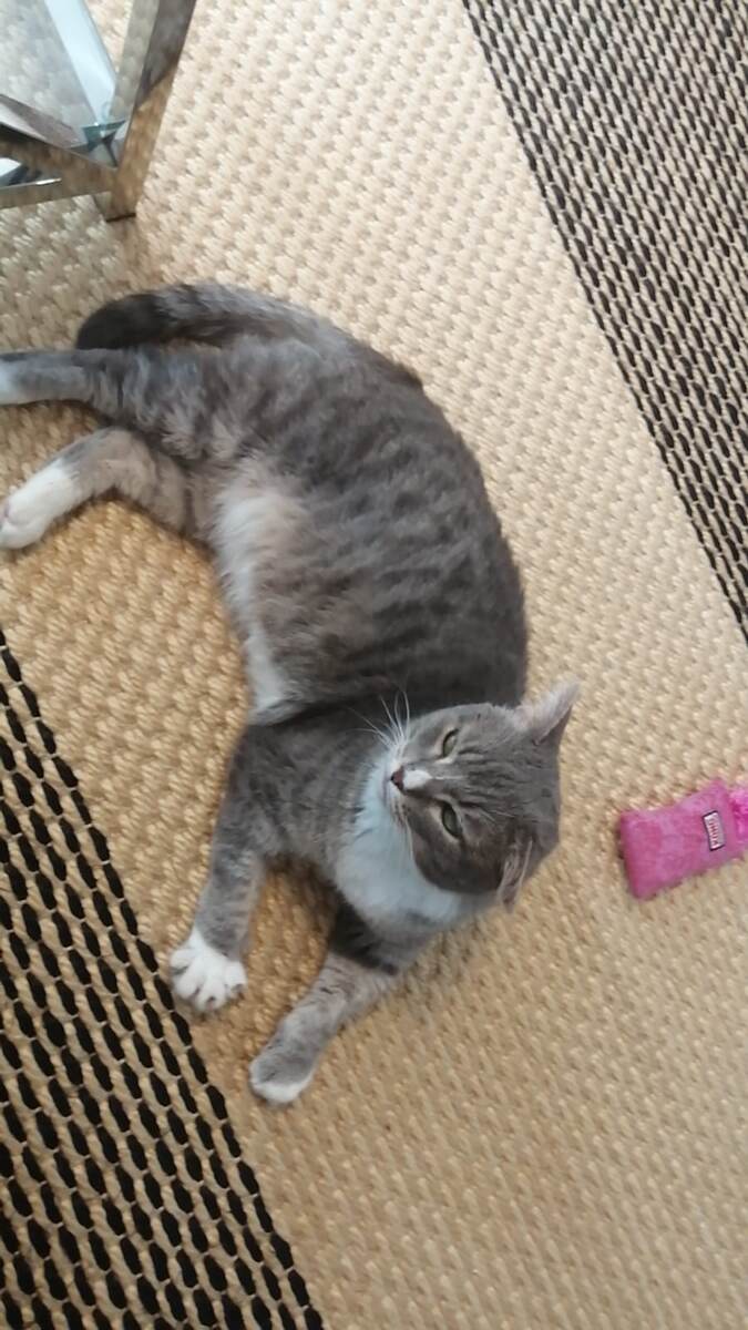 Домашние фото Бориса