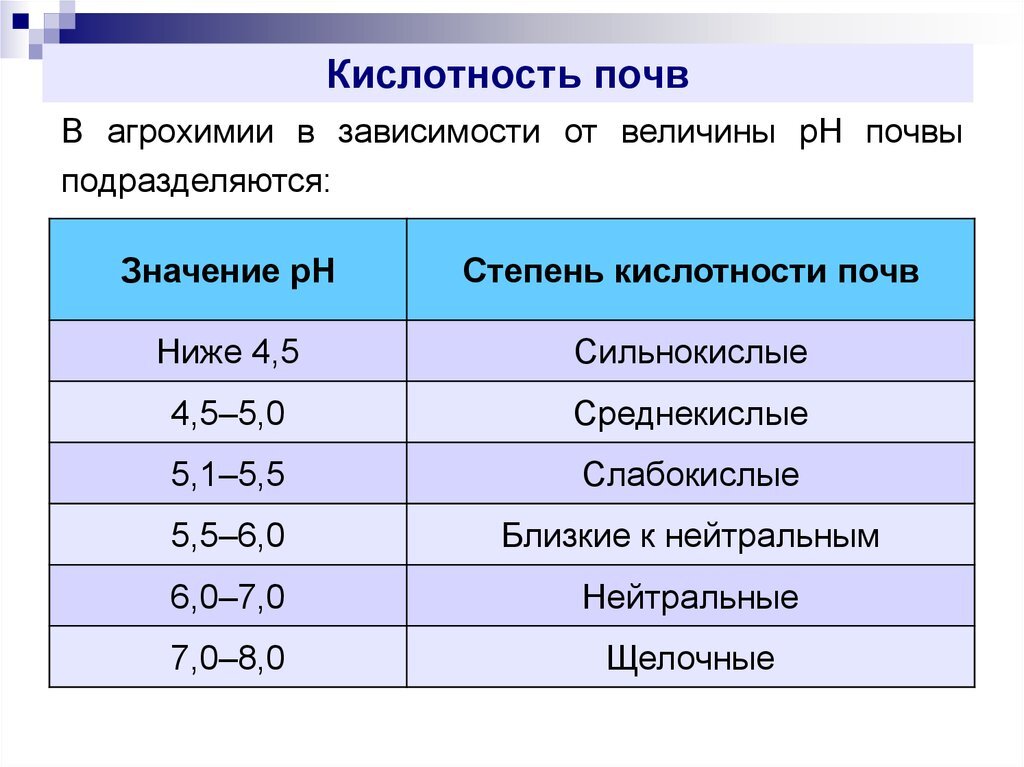 Кислотность почвы для салатов