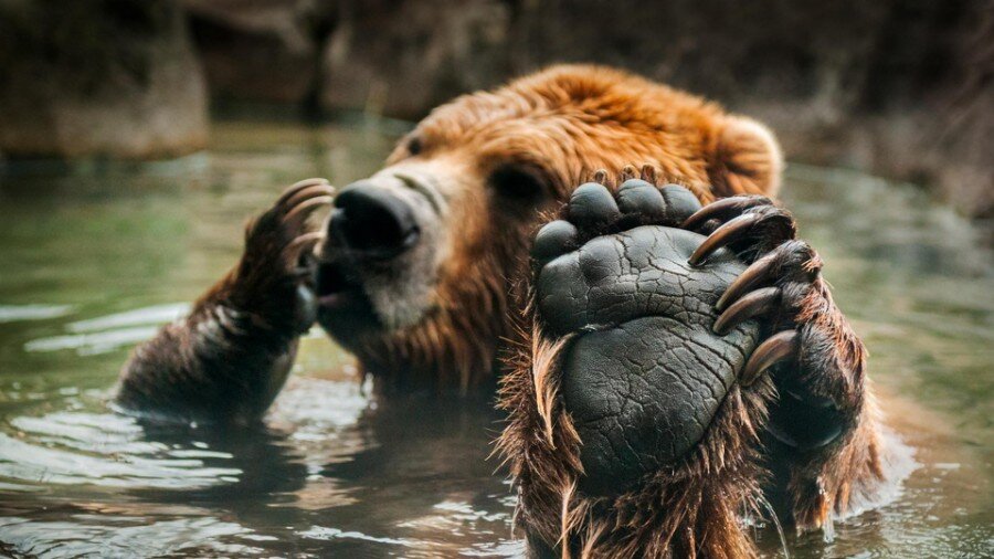 Фото взято из открытых источников. 