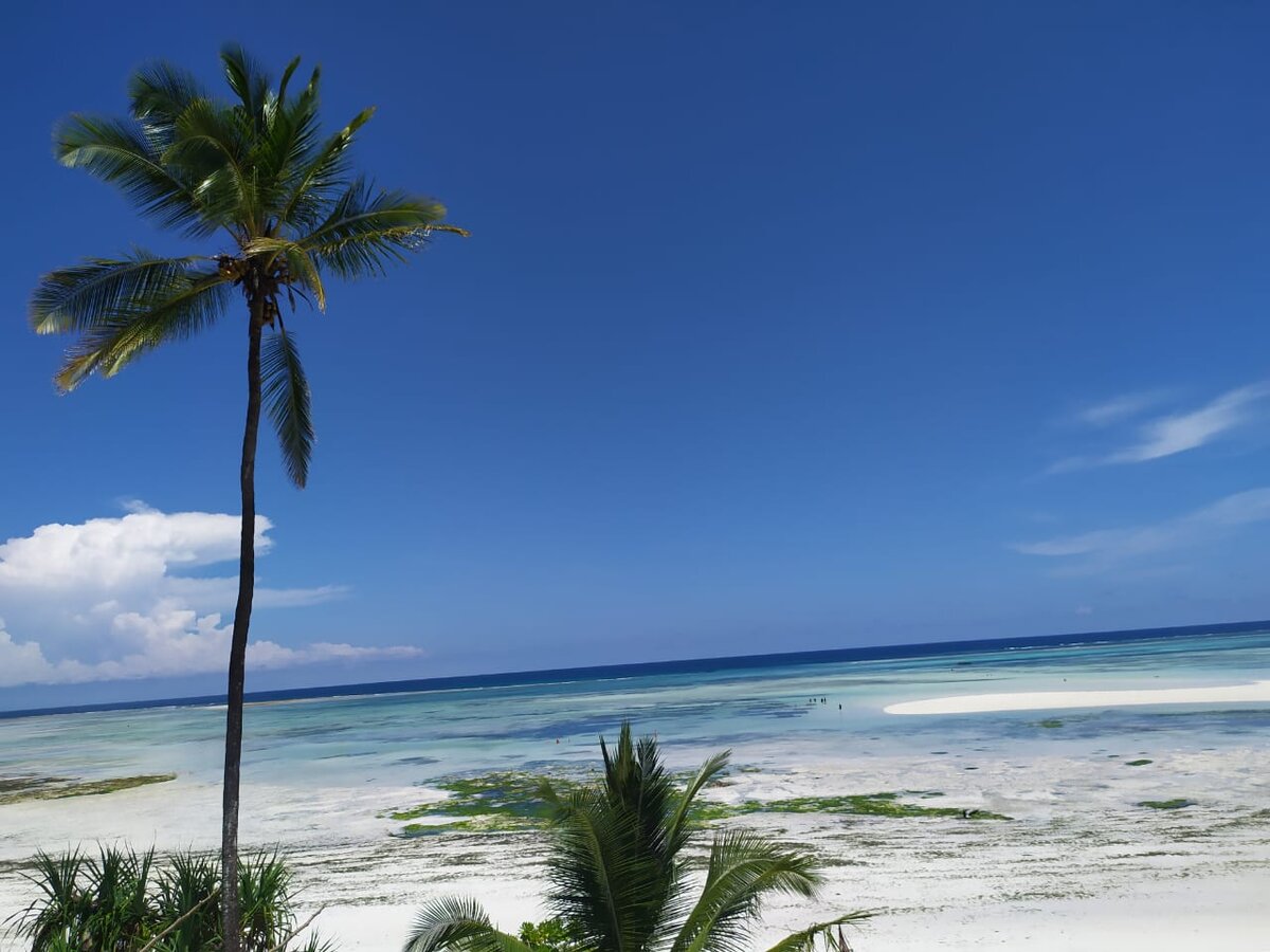 Часть бонусов я потратила на оплату рекламного тура в Танзанию. Фото из отеля MELIA ZANZIBAR 5* Кивенгва, Занзибар, декабрь 2020