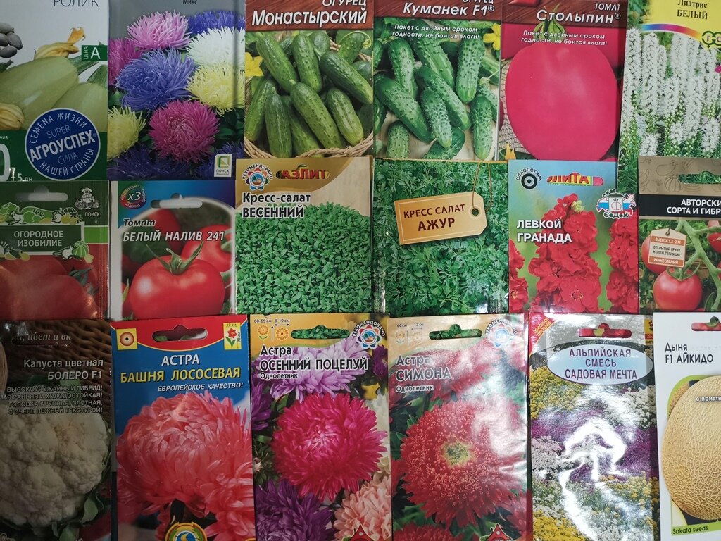 Семена!