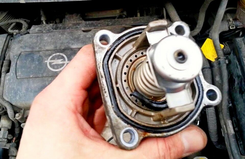 Термостат-терморегулятор