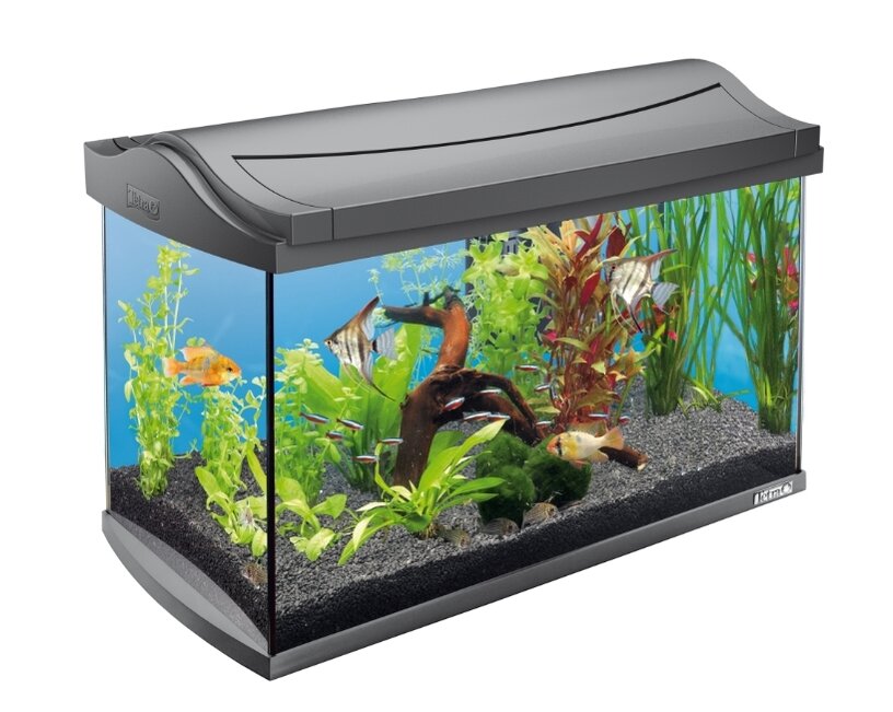 Tetra AquaArt Discover Line