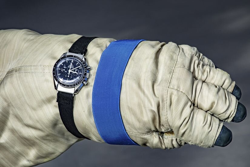 Фото взято с Яндекс картинки