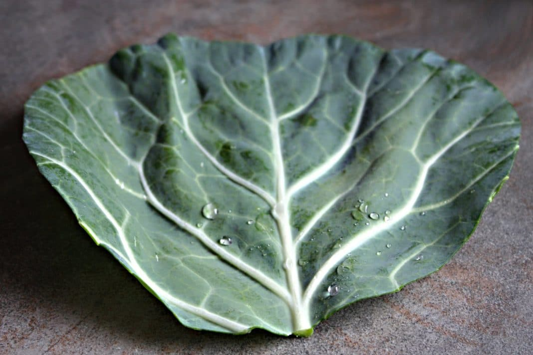 открытый источник Яндекс фото .