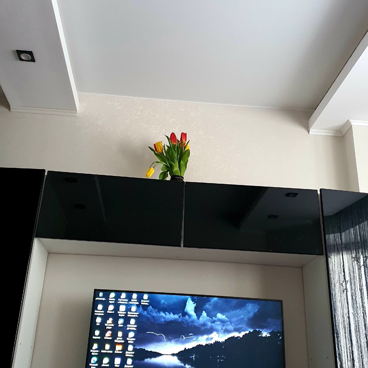 Вот так спасаю цветочки от своих котиков! Кошка постоянно думает, что это ей дарят🙃😁 Фото автора, личное.