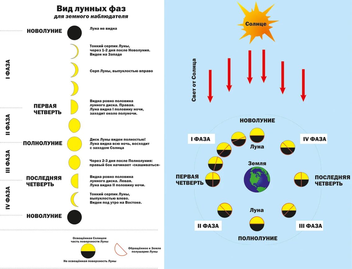 Фаза луны виды. Фазы Луны. Фазы Луны схема. Цикл лунных фаз. Фаза Луны первая четверть.