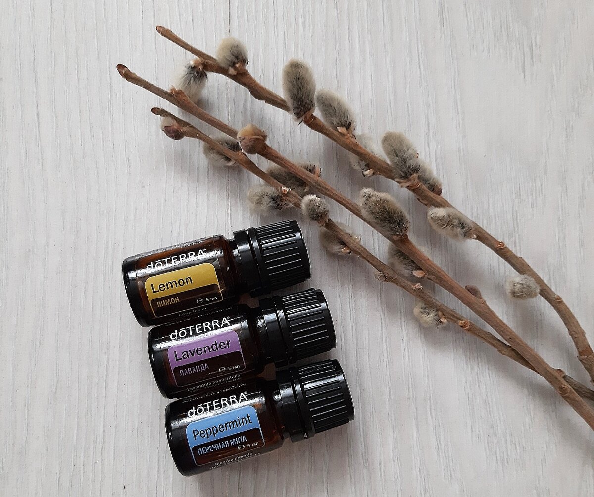 Волшебное трио эфирных масел: лимон, лаванда и перечная мята.