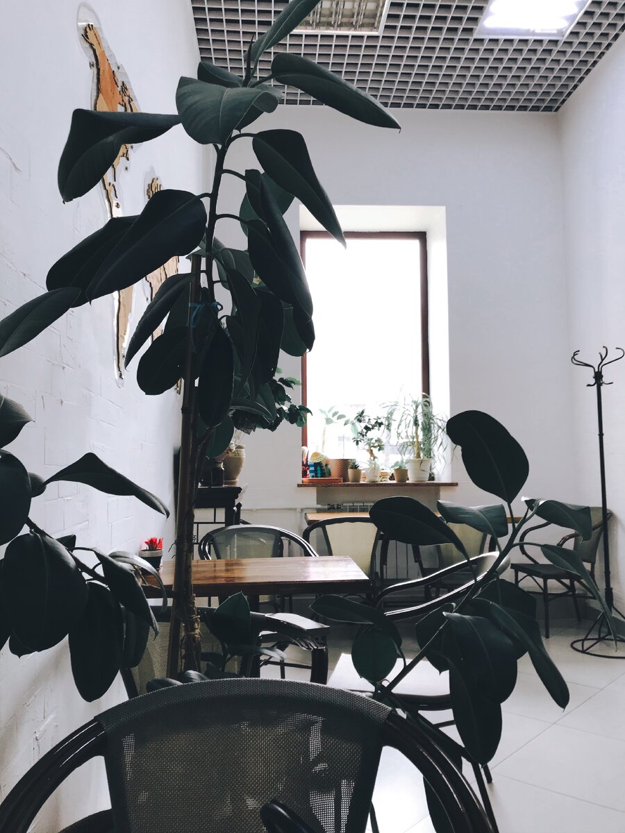 Не забудьте подписаться на канал