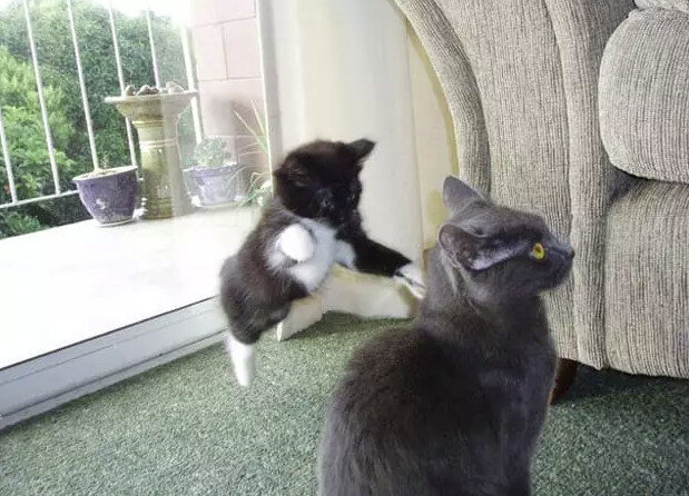 Источник: pinterest.com