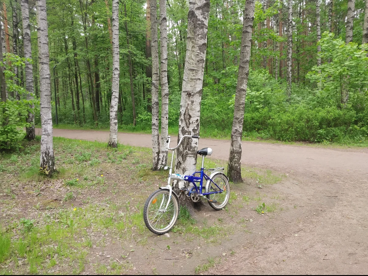 Мой Stels в парке Сосновка. Фото автора