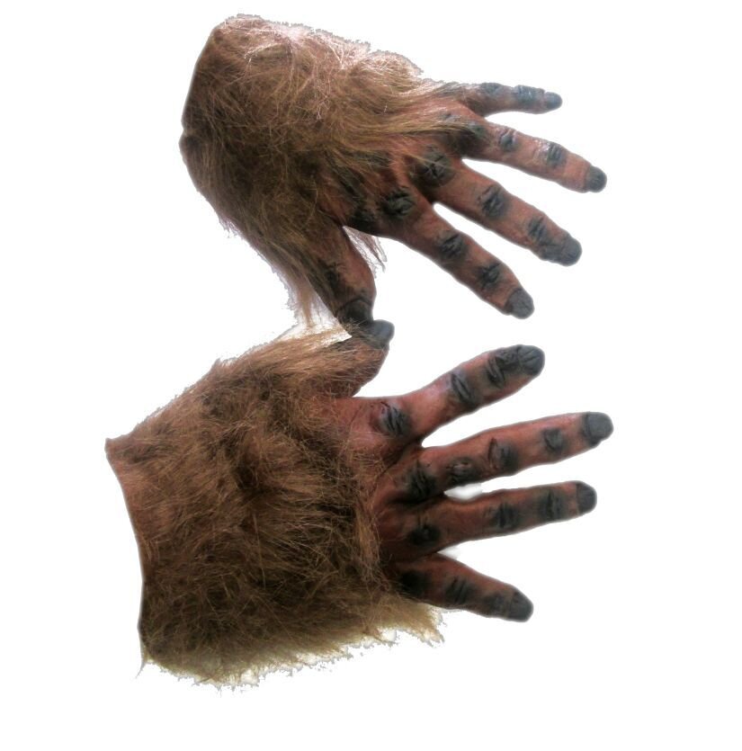 мохнатые пальцы. робин уильямс волосатость. мохнатые пальцы. мохнатые пальцы. мохнатые пальцы.