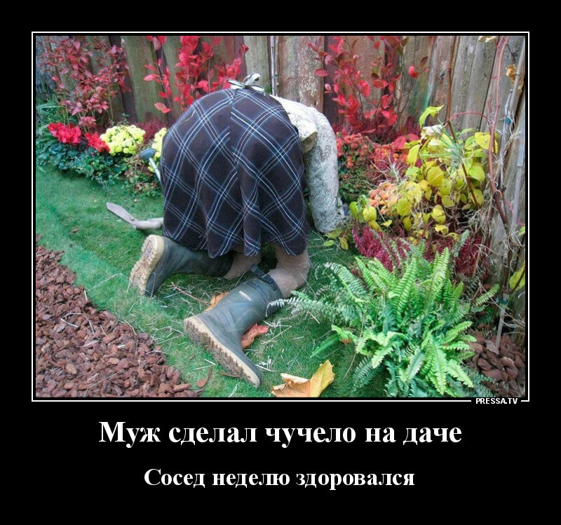 Добавлено из Яндекс.Картинки