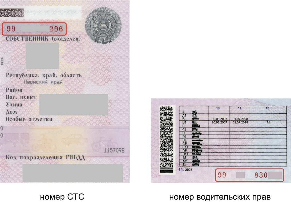 Нужные номера указаны крупным шрифтом на документах: на СТС спереди, на правах — с оборотной стороны 