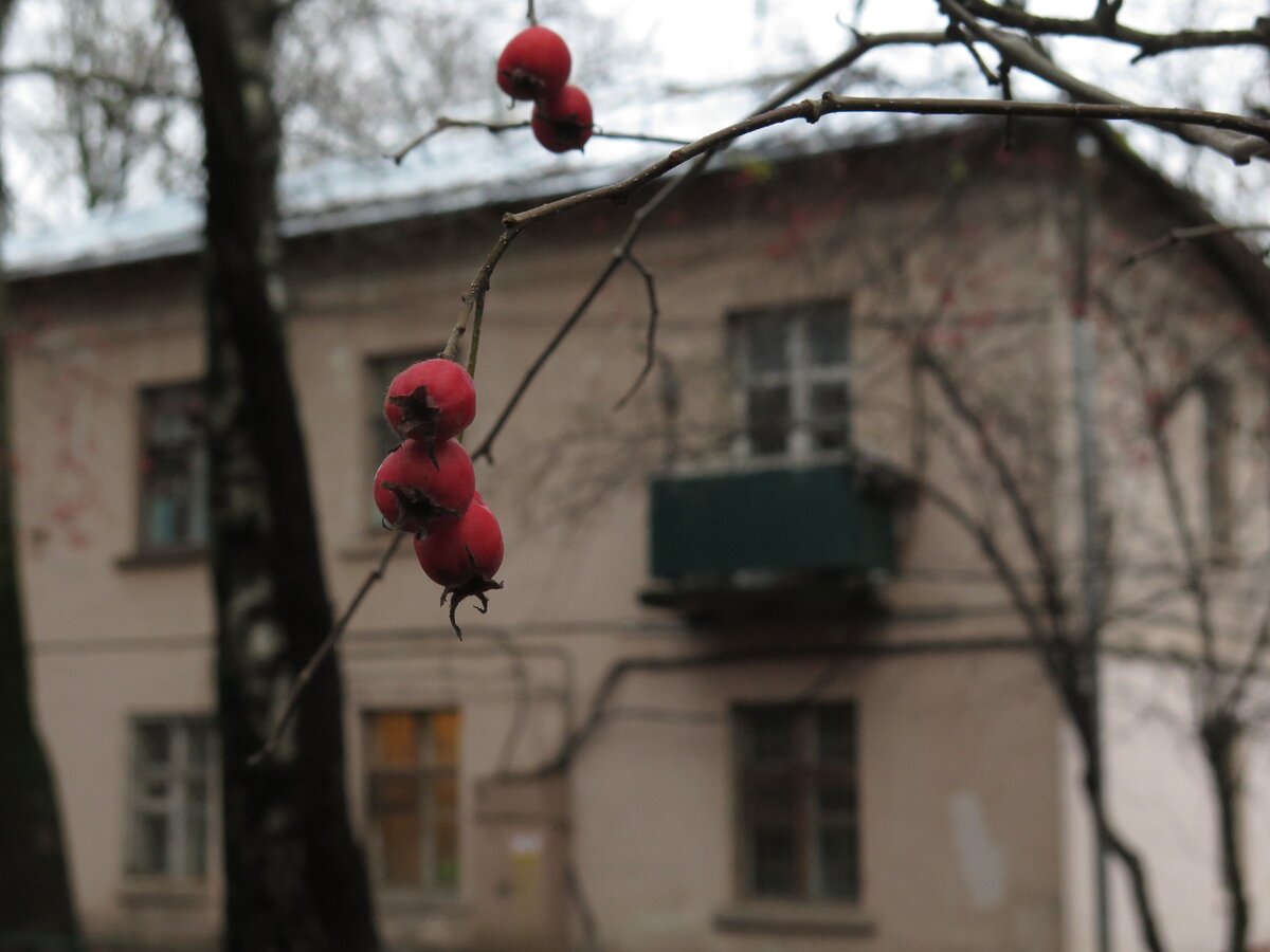 Фотографии из района, где я жила в Москве в детстве. Не в этом доме, если что. Все фотографии авторские.