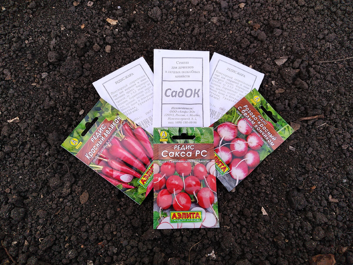 В экспозиции представлены семена редиса за 1,50 р., 10 руб., и 15 руб.