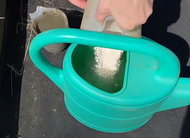 Засыпаем раствор доломитовой муки.