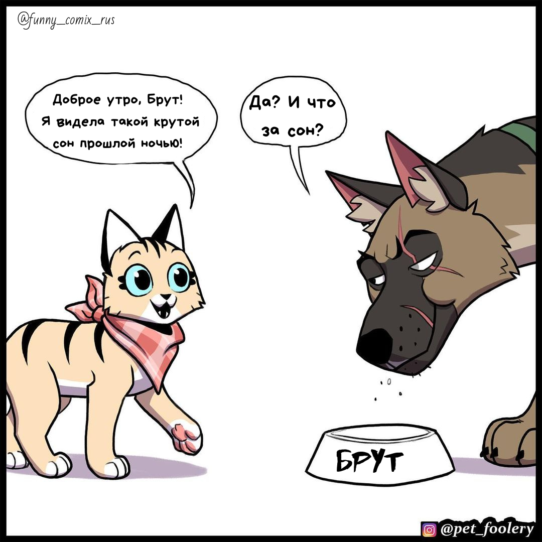 Источник: Instagram @funny_comix_rus 