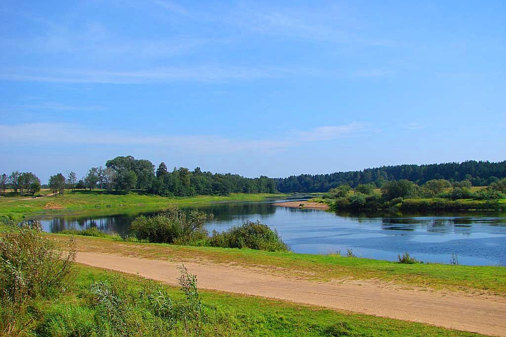 Пестова это где. Река Молога Пестово. Деревня Пестово Новгородская область. Природа Новгородской обл Пестово.