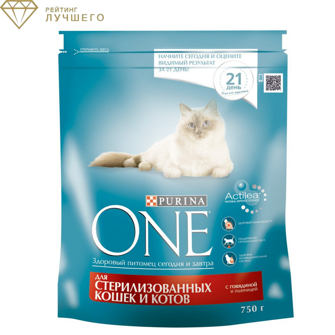 Purina ONE