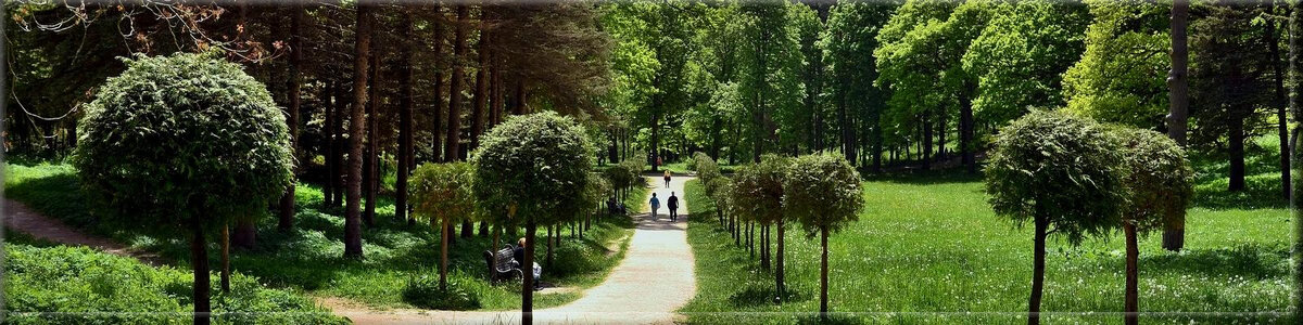 Кисловодск. Фото из Яндекс Картинки