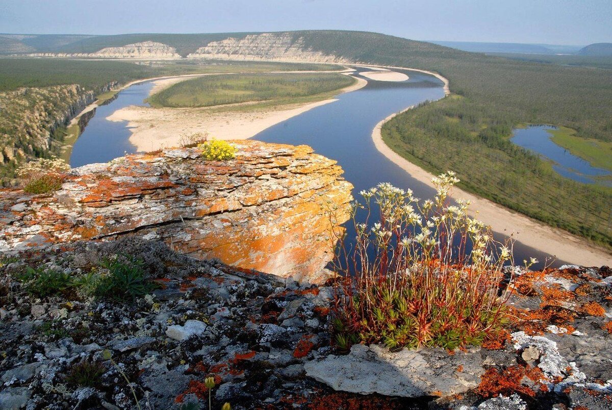 река оленек