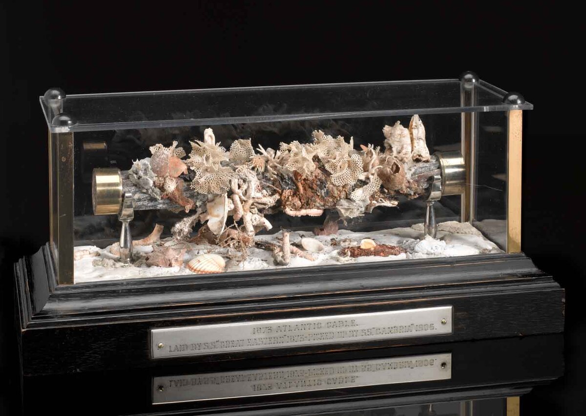 Фото blog.sciencemuseum.org.uk/