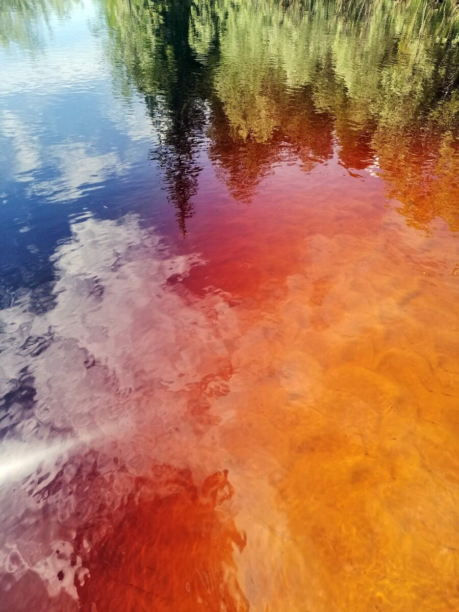 Вода в наших реках цвета кока-колы)))