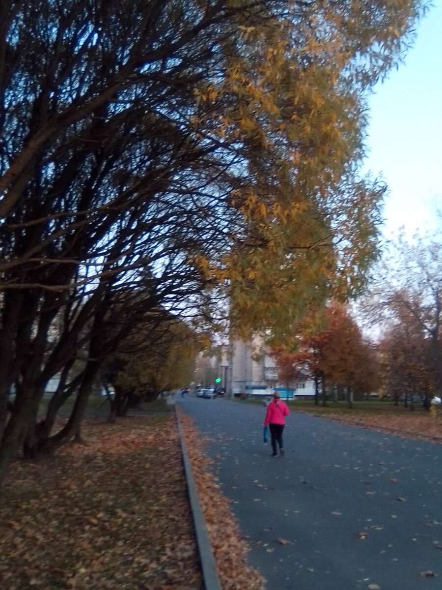 Сейчас одно удовольствие гулять по городу