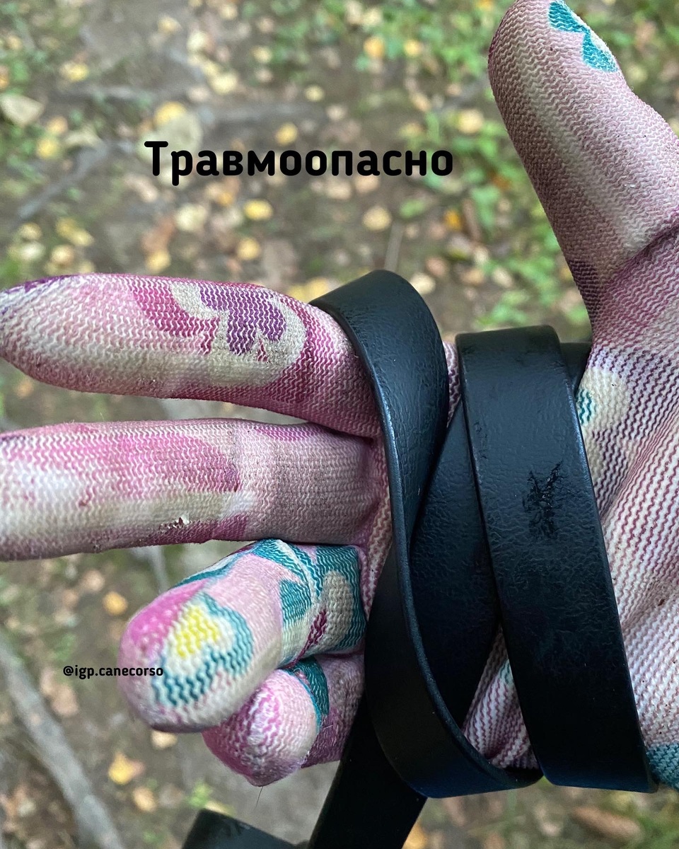 Личное фото автора