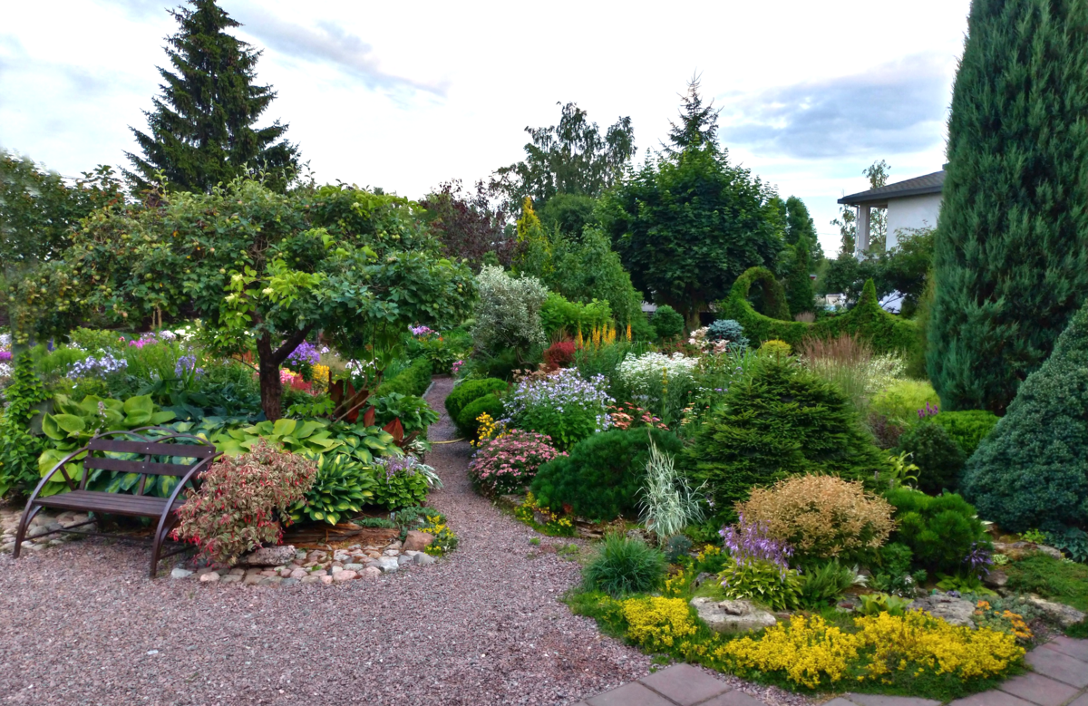  Сад и фото Ю.Б.Марковского  