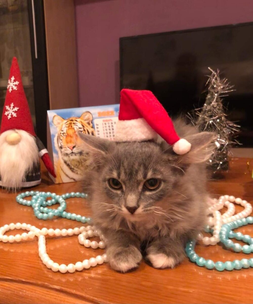 у неё теперь есть дом и семья)))