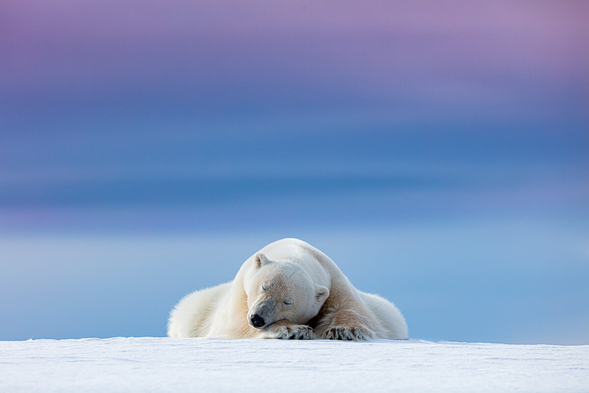 Фото: Dennis Stogsdill, naturettl.com