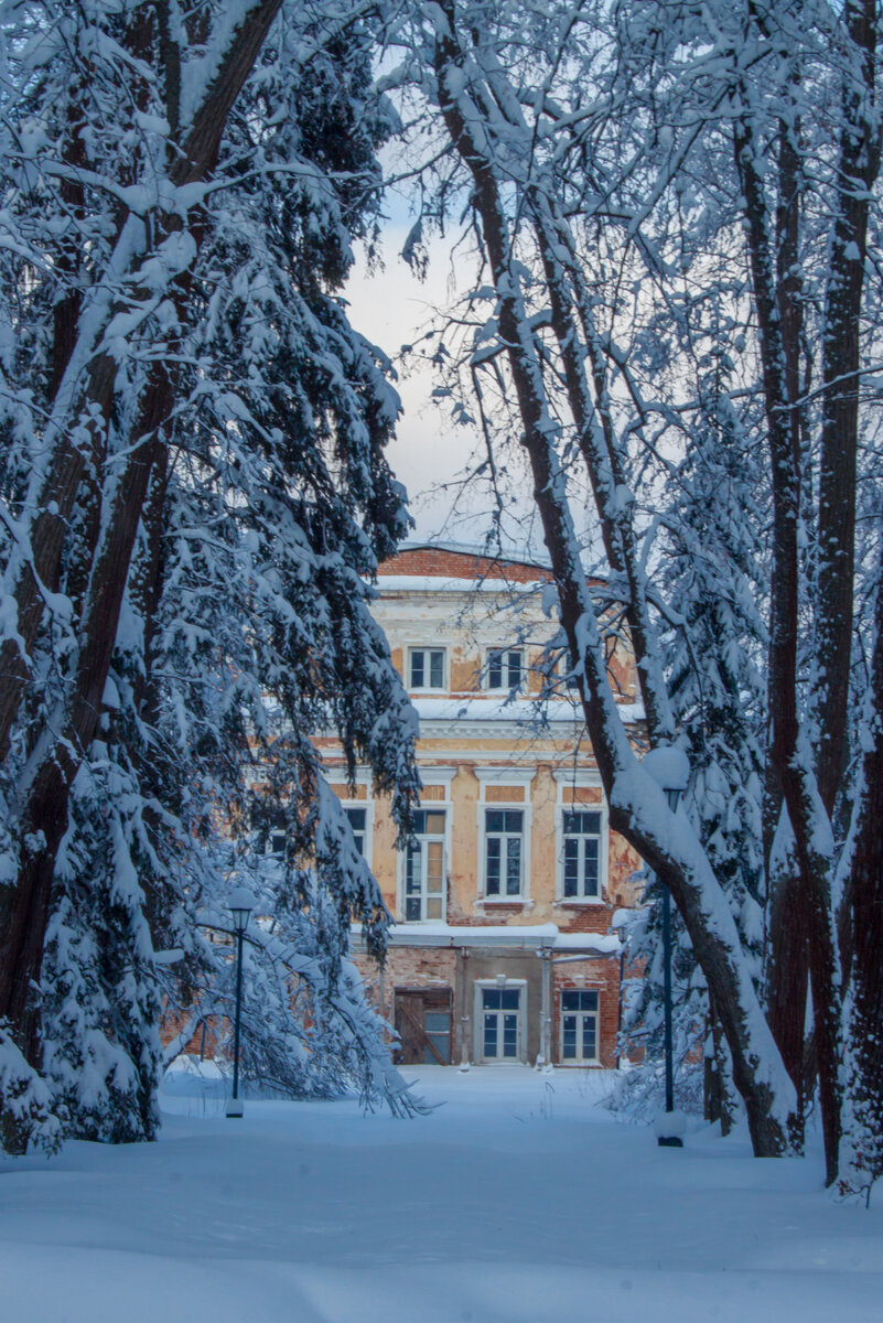 Парк усадьбы зимой. Фото Ольги Дворецкой.