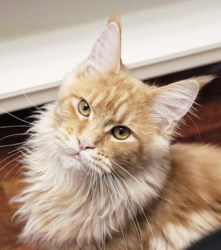 Фото из личного архива.