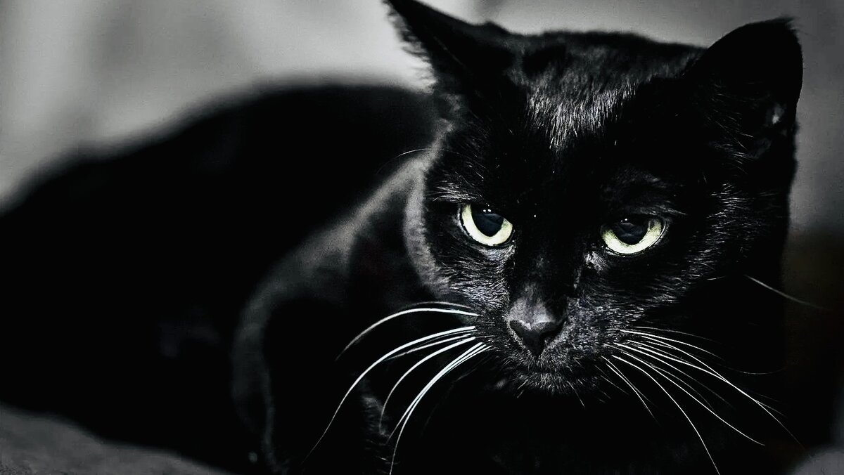 Источник Яндекс Картинки