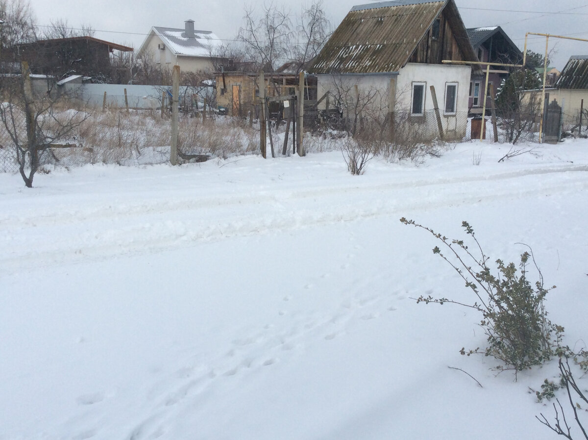 Наша улица, вид от калитки, ее ещё надо ухитриться распахнуть, за ночь она примерзла