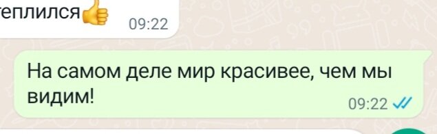 Особенно полезно это осознать в пасмурный день. 