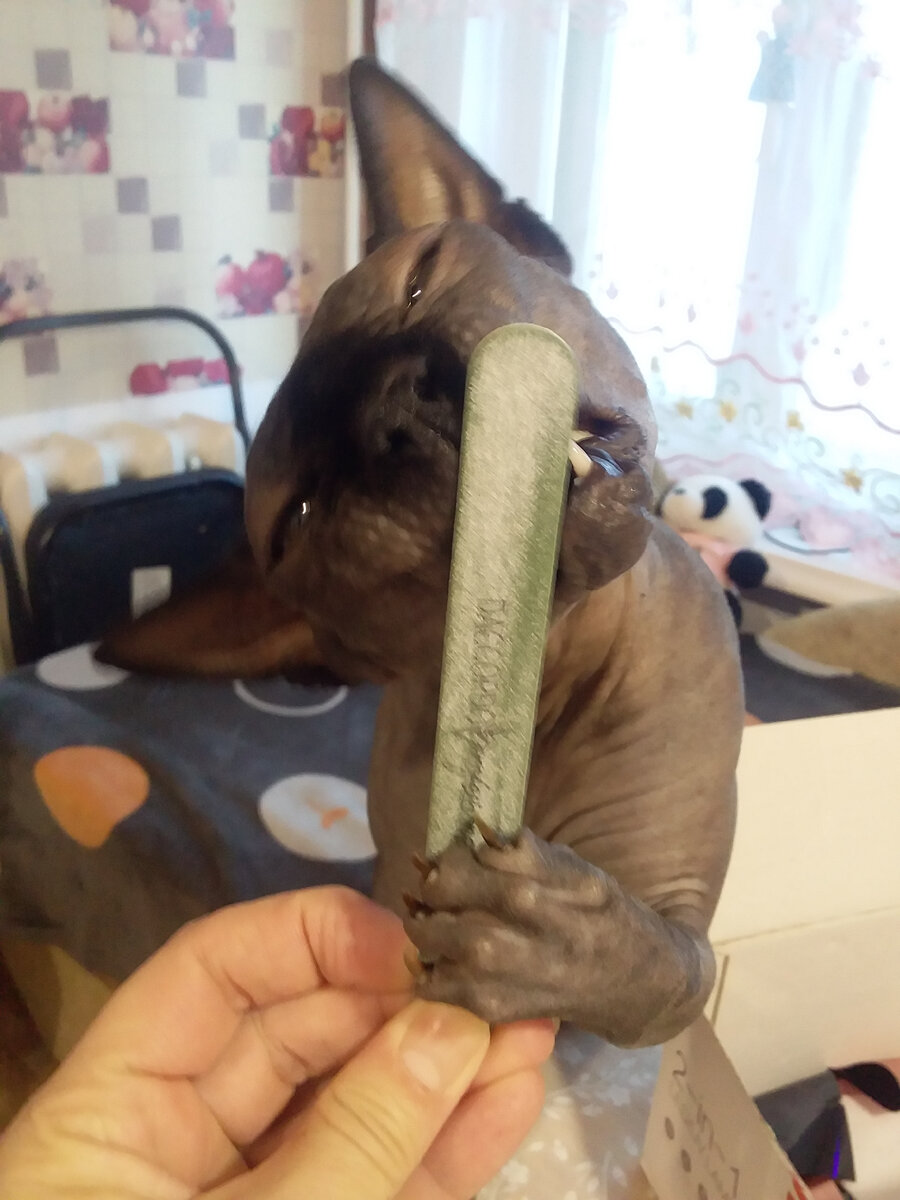 Слабость....