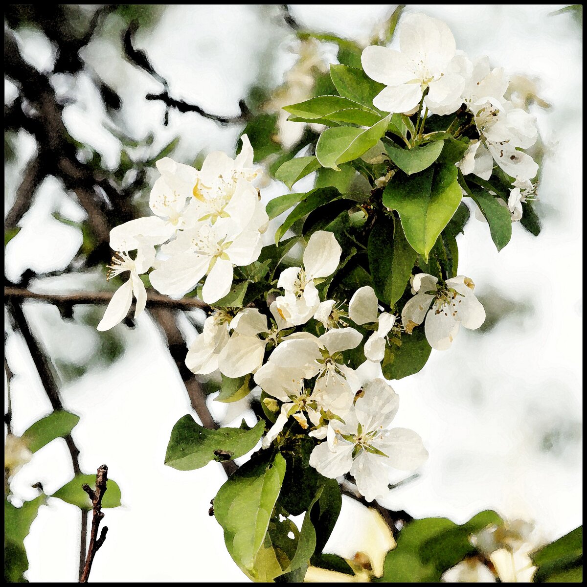 Фото: Дмитрий Гаврилов